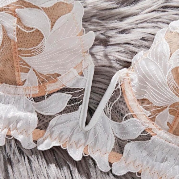 Fleur de Lys Bustiers Set by SilkRose Lingerie - Picture 11 of 15